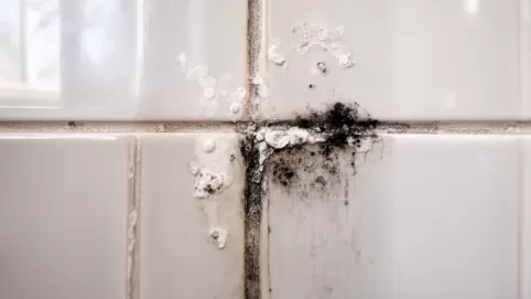 Czym myć płytki na ścianie