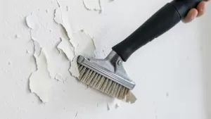 Tarcza do zdzierania farby ze ścian